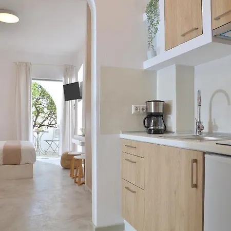 Apartment Niriis Aktaia & Glauke Batsi Batsi (Andros)